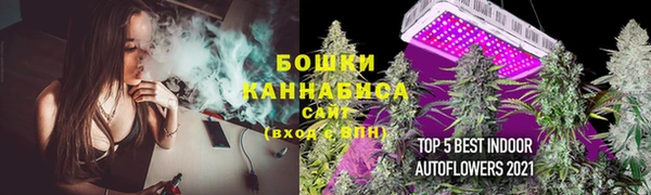 шишки Зерноград